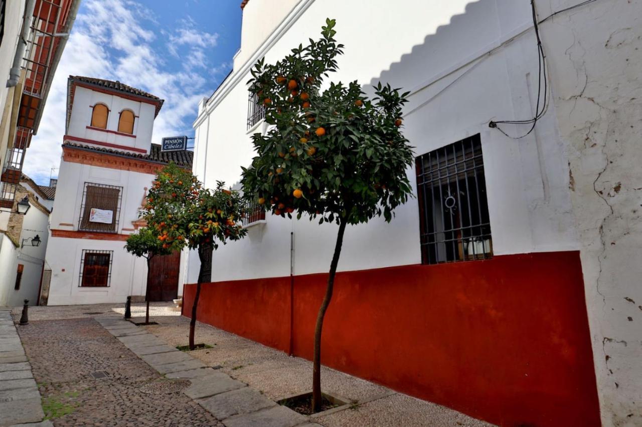 Pension Cibeles Córdoba Exteriér fotografie